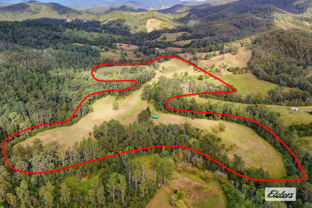 1020 Caparra Road, Caparra, NSW, 2429 - Image 2