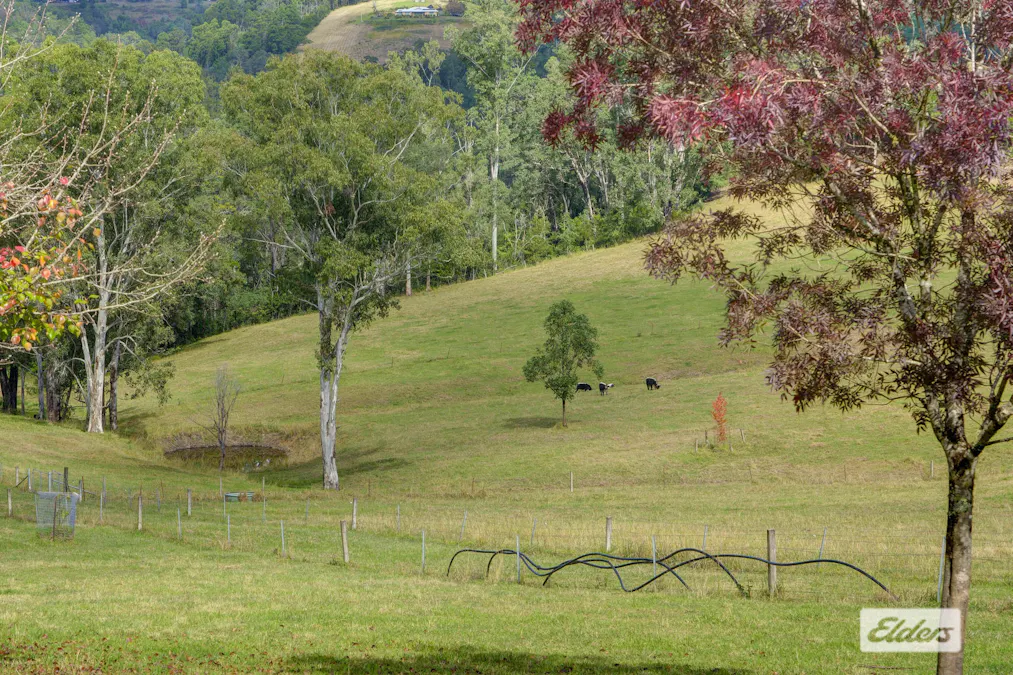 1020 Caparra Road, Caparra, NSW, 2429 - Image 16