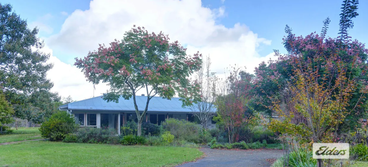 1020 Caparra Road, Caparra, NSW, 2429 - Image 2