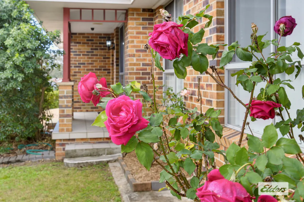 1/11 Kurrajong Crescent — photo 16 of 25
