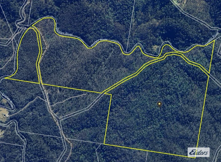Bulga Forest, NSW, 2429 - Image 1