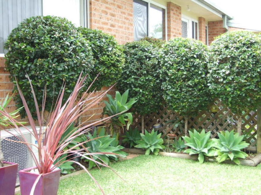 4/95 Albert Street, Taree West, NSW, 2430 - Image 9