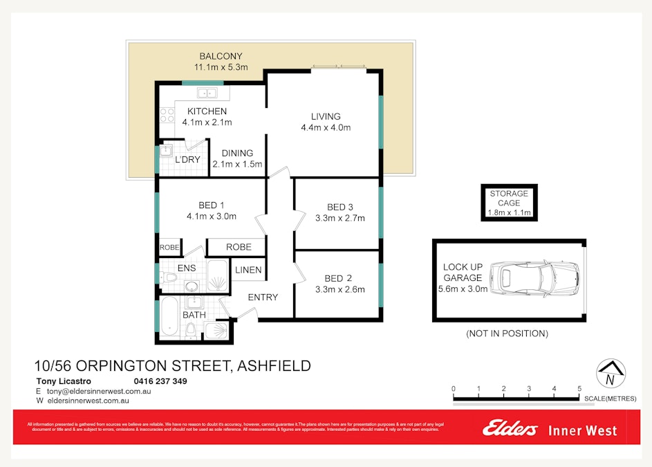 10/56 Orpington Street, Ashfield, NSW, 2131 - Floorplan 1