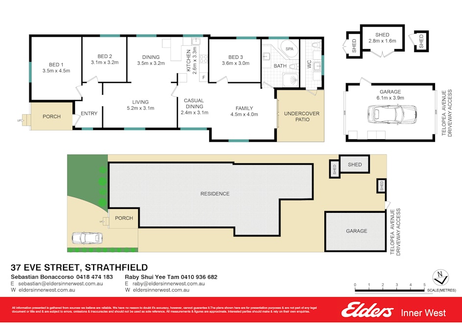 37 Eve Street, Strathfield, NSW, 2135 - Floorplan 1