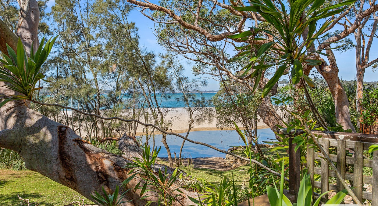 43 Pacific Crescent , Maianbar, NSW, 2230 - Image 4