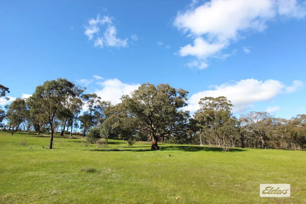 297 Axe Creek Road, Axe Creek, VIC, 3551 - Image 10