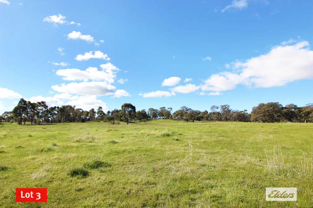 297 Axe Creek Road, Axe Creek, VIC, 3551 - Image 12