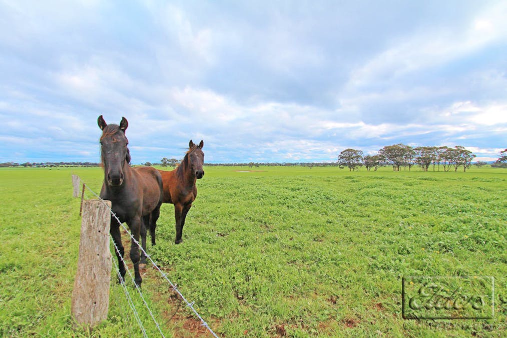 Lot 4A Stoneleigh Road, Marong, VIC, 3515 - Image 5