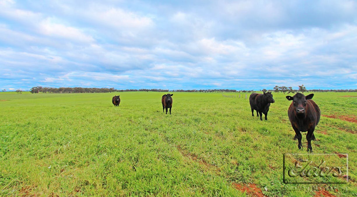 Lot 4A Stoneleigh Road, Marong, VIC, 3515 - Image 7