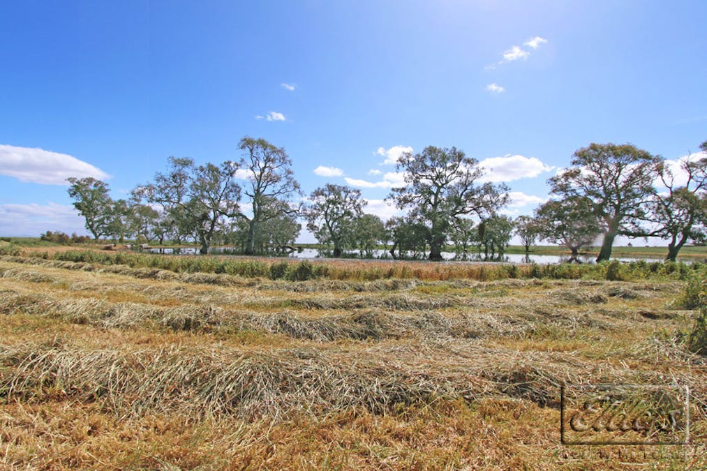 Pyrenees Highway, Carisbrook, VIC, 3464 - Image 14