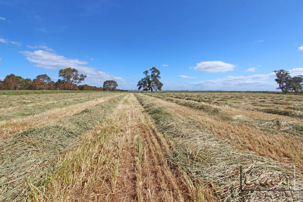 Pyrenees Highway, Carisbrook, VIC, 3464 - Image 15