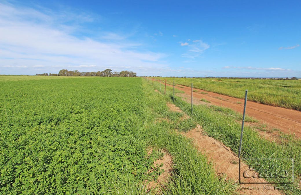 Pyrenees Highway, Carisbrook, VIC, 3464 - Image 7