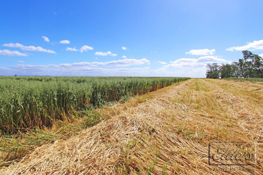 Pyrenees Highway, Carisbrook, VIC, 3464 - Image 10
