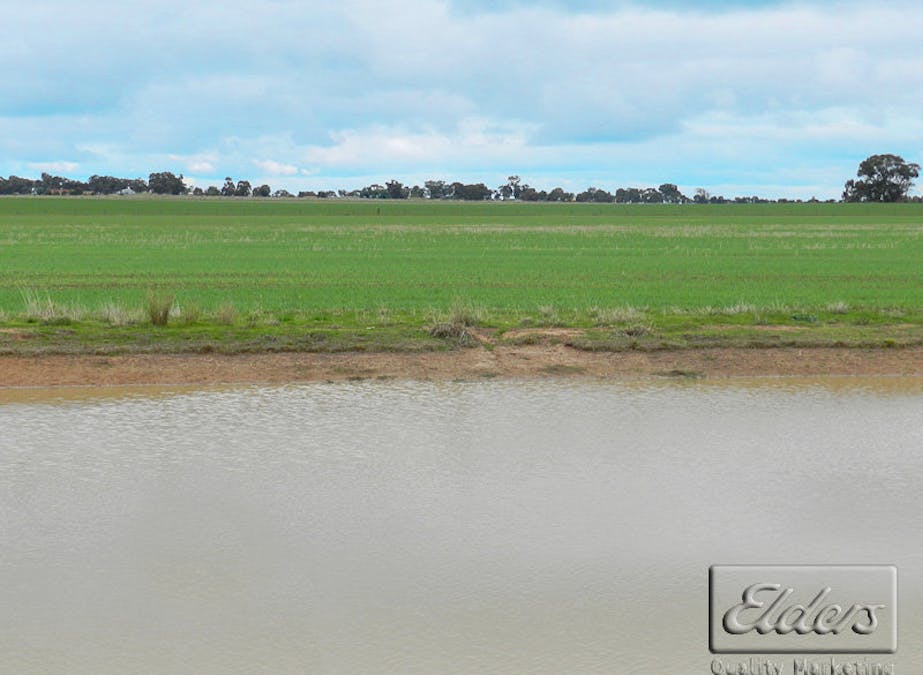 Cnr Bendigo-Pyramid Hill Road & Bridgewater-Raywood Road, Raywood, VIC, 3570 - Image 11