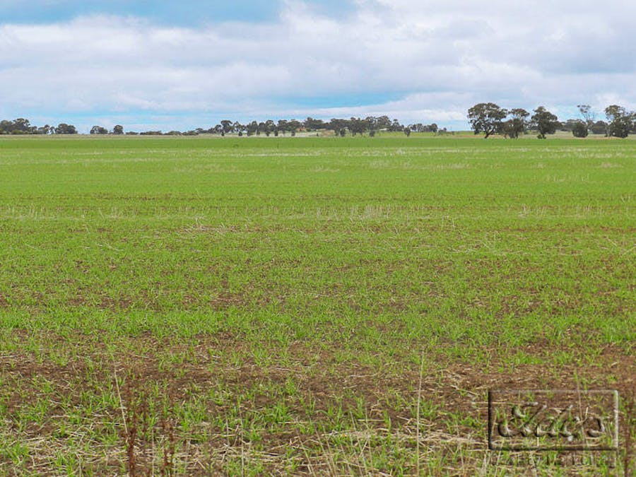 Cnr Bendigo-Pyramid Hill Road & Bridgewater-Raywood Road, Raywood, VIC, 3570 - Image 12