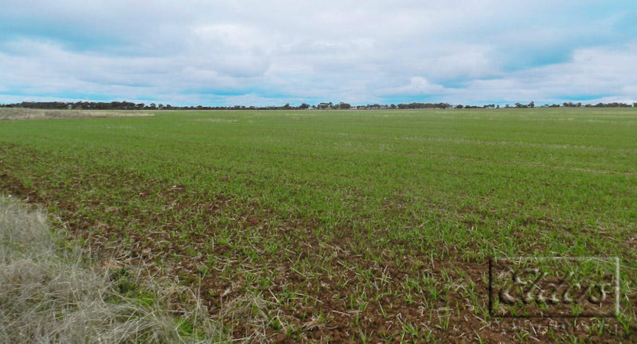 Cnr Bendigo-Pyramid Hill Road & Bridgewater-Raywood Road, Raywood, VIC, 3570 - Image 13