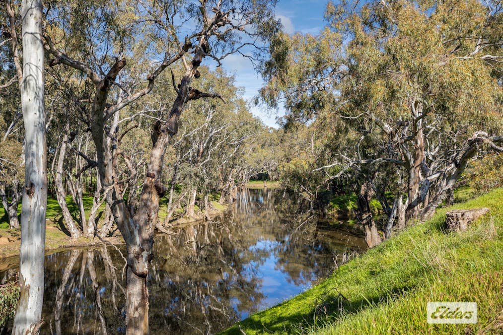 15 Wright Street, Elmore, VIC, 3558 - Image 10