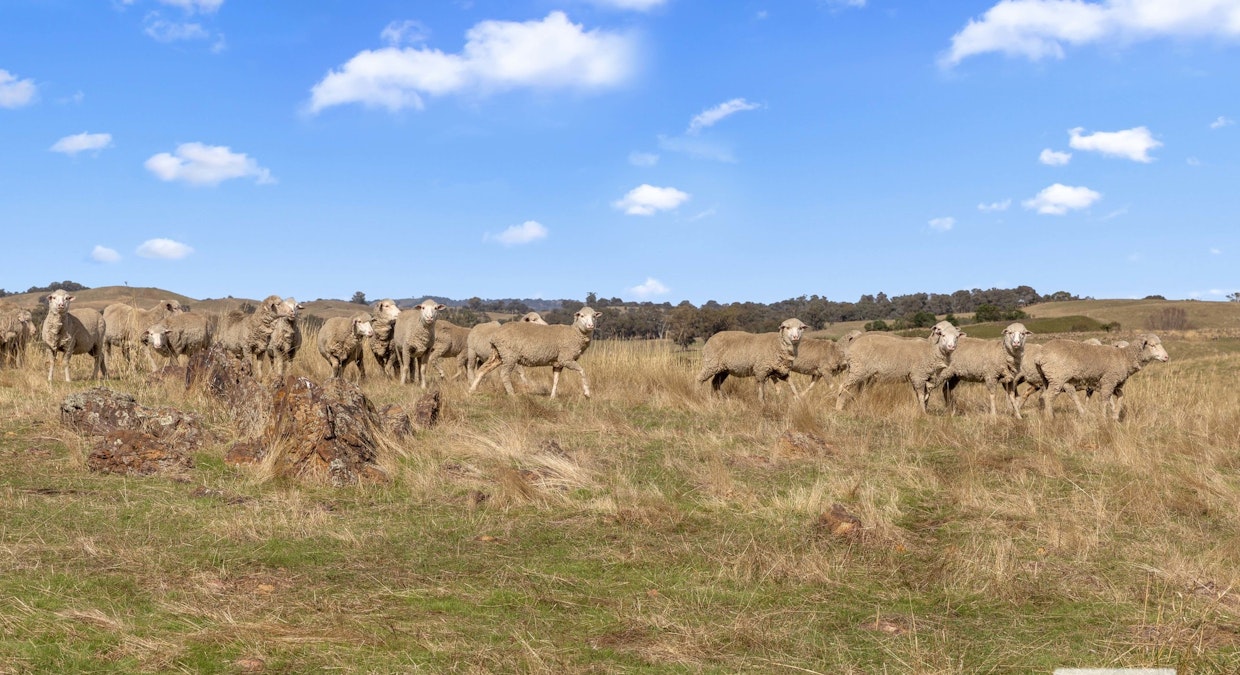 2&7/Archbolds Road, Redesdale, VIC, 3444 - Image 6