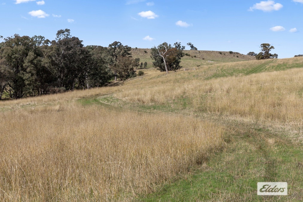2&7/Archbolds Road, Redesdale, VIC, 3444 - Image 4