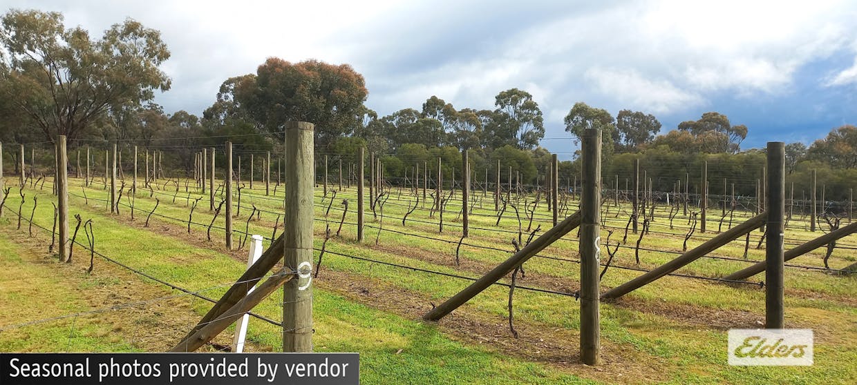 269 Canny Road, Eppalock, VIC, 3551 - Image 27