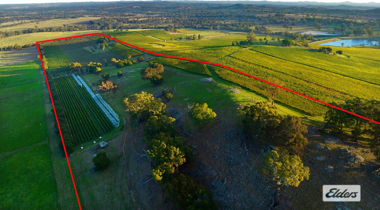 Lot 2, 208 Faraday - Sutton Grange Road, Faraday, VIC, 3451 - Image 3
