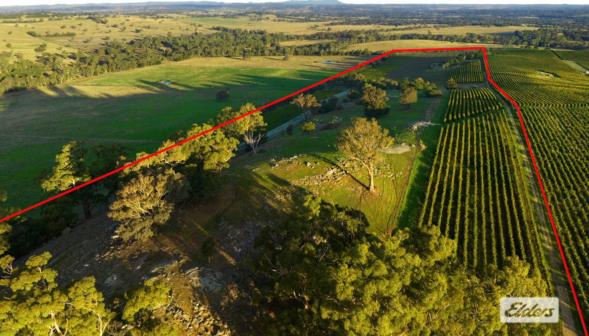 Lot 2, 208 Faraday - Sutton Grange Road, Faraday, VIC, 3451 - Image 4