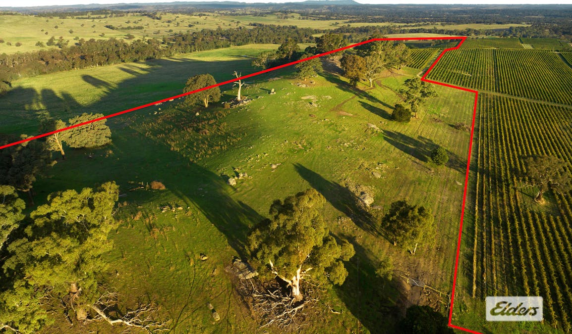 Lot 2, 208 Faraday - Sutton Grange Road, Faraday, VIC, 3451 - Image 5