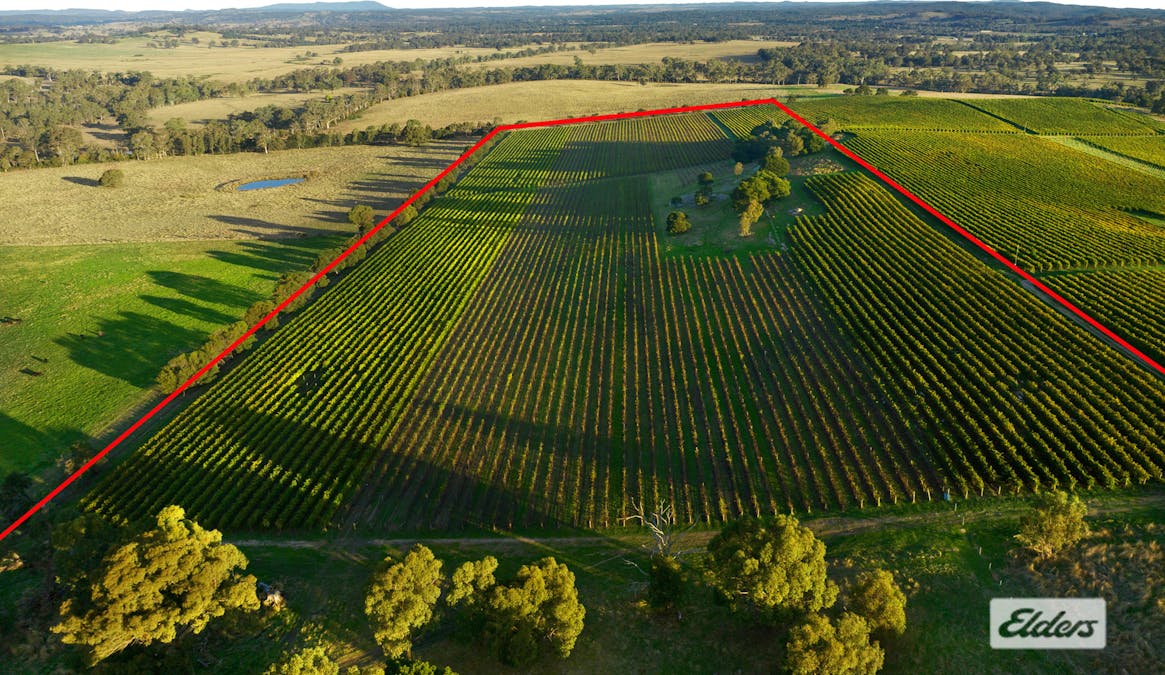 Lot 2, 208 Faraday - Sutton Grange Road, Faraday, VIC, 3451 - Image 6