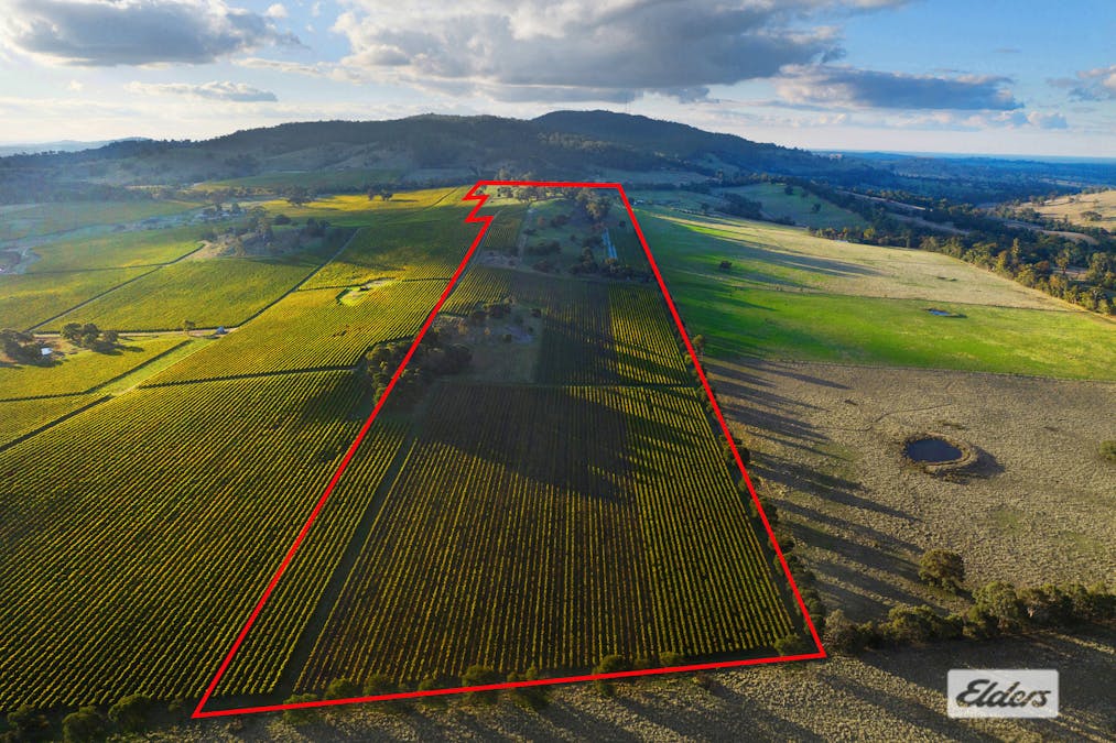 Lot 2, 208 Faraday - Sutton Grange Road, Faraday, VIC, 3451 - Image 7