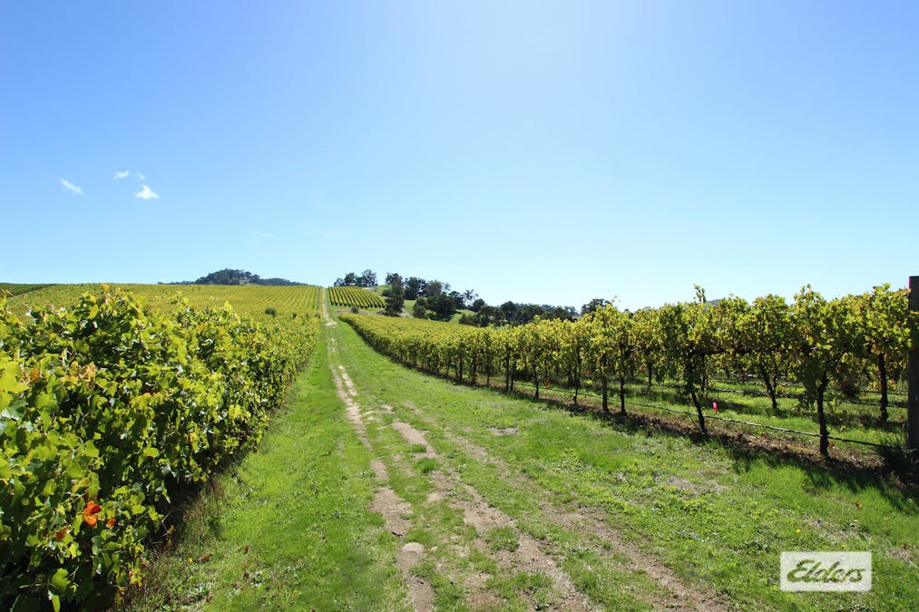 Lot 2, 208 Faraday - Sutton Grange Road, Faraday, VIC, 3451 - Image 17