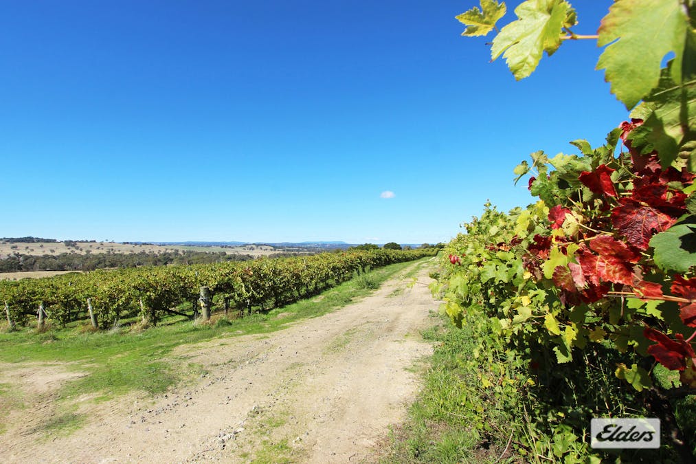 Lot 2, 208 Faraday - Sutton Grange Road, Faraday, VIC, 3451 - Image 18