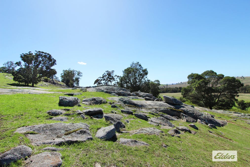Lot 2, 208 Faraday - Sutton Grange Road, Faraday, VIC, 3451 - Image 19