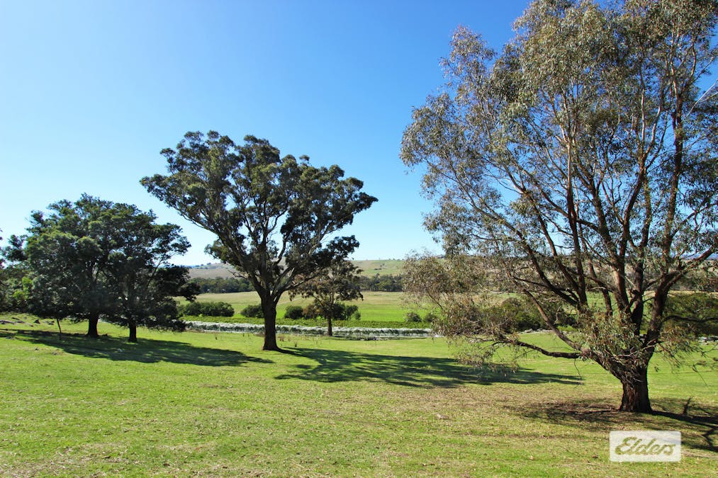 Lot 2, 208 Faraday - Sutton Grange Road, Faraday, VIC, 3451 - Image 14