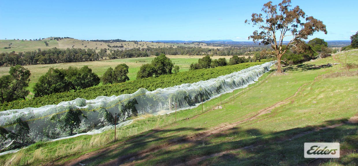 Lot 2, 208 Faraday - Sutton Grange Road, Faraday, VIC, 3451 - Image 21