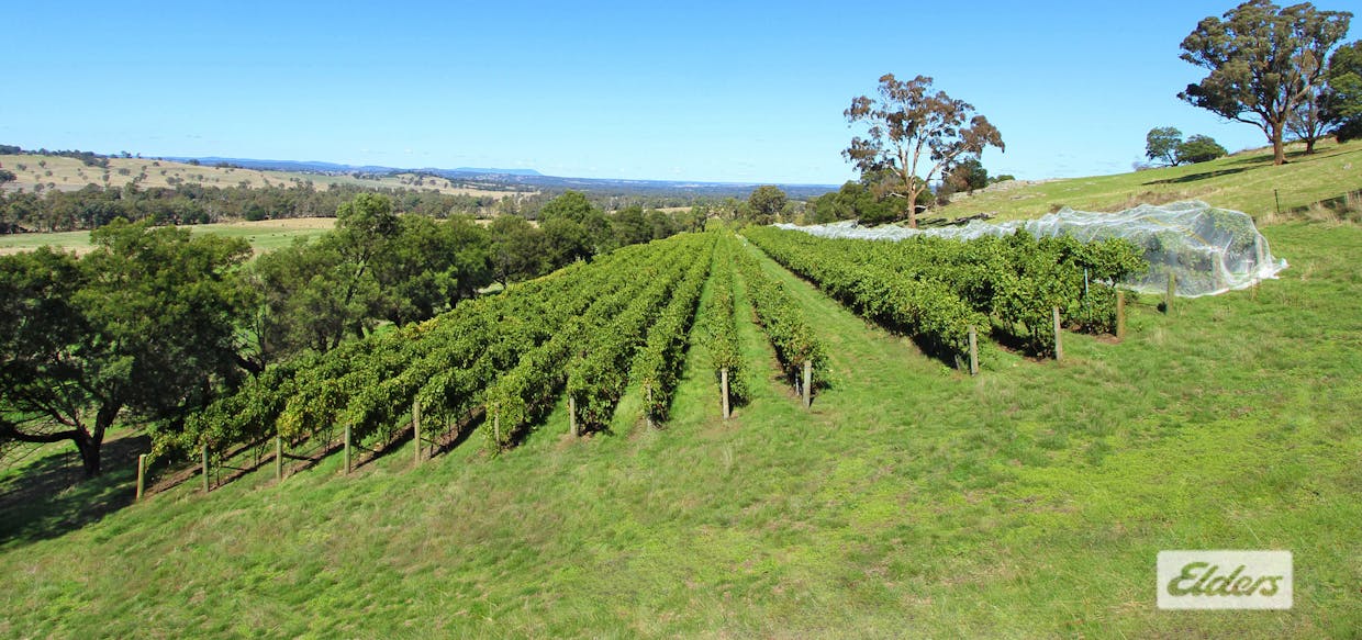 Lot 2, 208 Faraday - Sutton Grange Road, Faraday, VIC, 3451 - Image 22