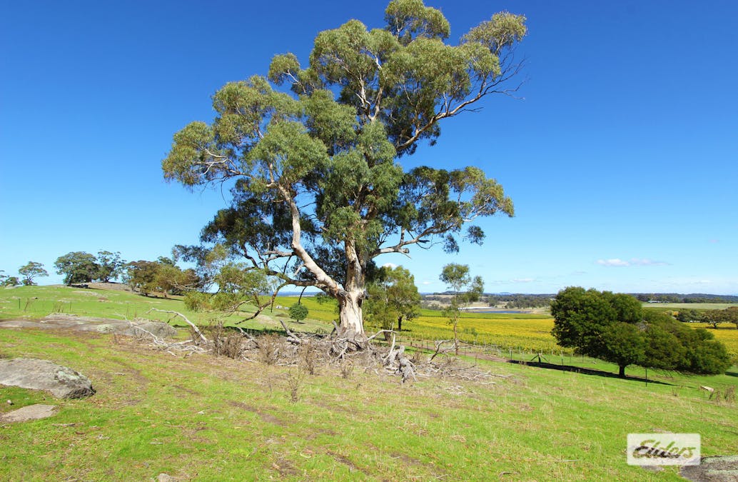 Lot 2, 208 Faraday - Sutton Grange Road, Faraday, VIC, 3451 - Image 27