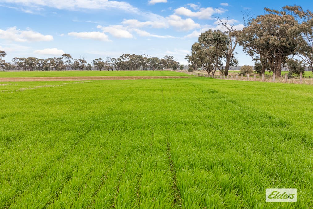 Sweeneys Lane, Bridgewater, VIC, 3516 - Image 3