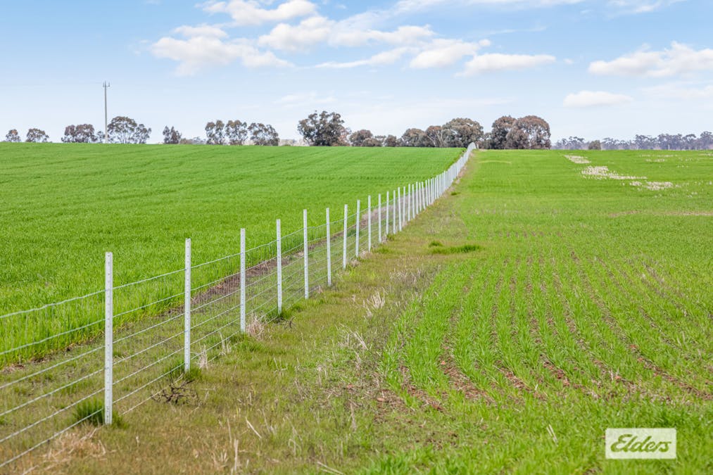 Sweeneys Lane, Bridgewater, VIC, 3516 - Image 4