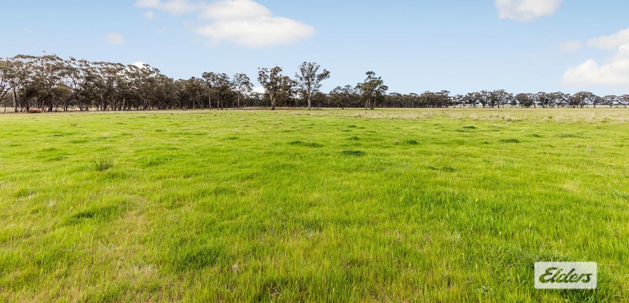 Rasmussens Road, Goornong, VIC, 3557 - Image 4