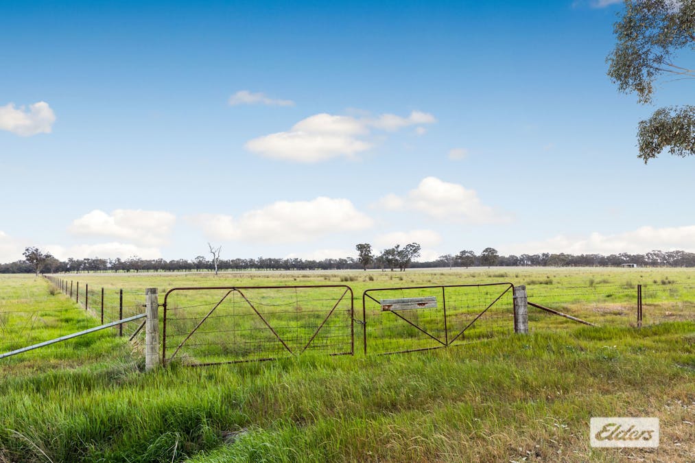 Rasmussens Road, Goornong, VIC, 3557 - Image 2