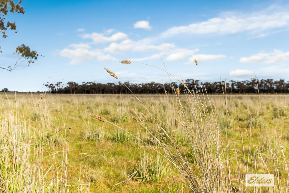 Rasmussens Road, Goornong, VIC, 3557 - Image 6
