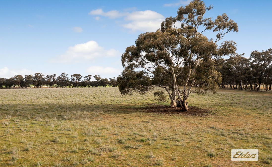 Rasmussens Road, Goornong, VIC, 3557 - Image 8