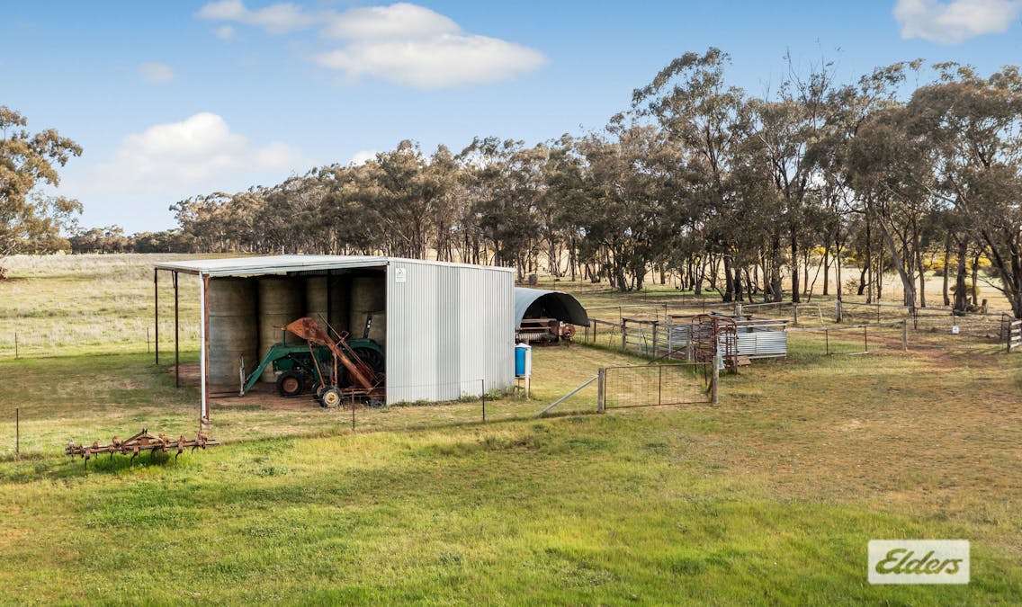 Rasmussens Road, Goornong, VIC, 3557 - Image 7