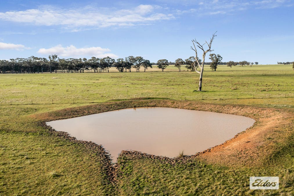 Rasmussens Road, Goornong, VIC, 3557 - Image 9