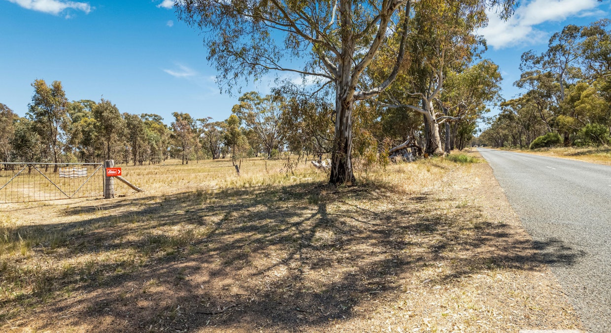 Dunolly-Inglewood Road, Arnold, VIC, 3551 - Image 3