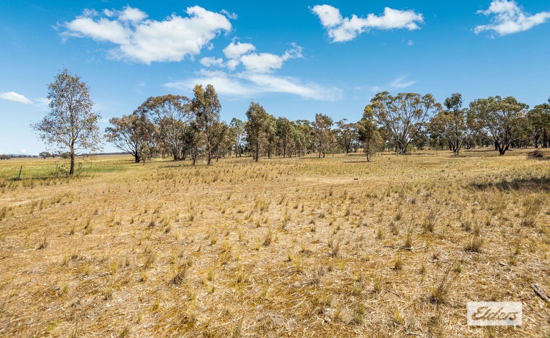 Dunolly-Inglewood Road, Arnold, VIC, 3551 - Image 5
