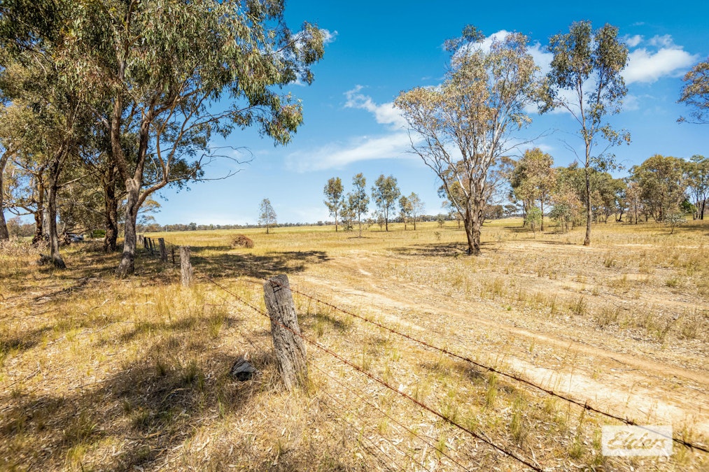 Dunolly-Inglewood Road, Arnold, VIC, 3551 - Image 4