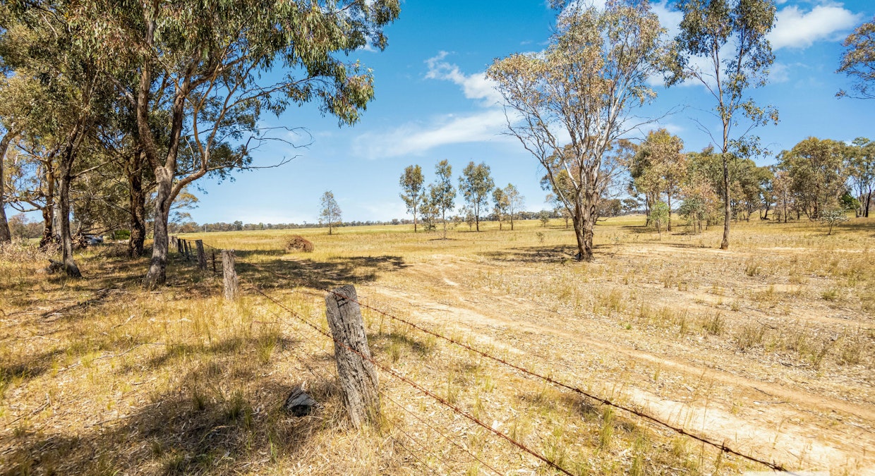 Dunolly-Inglewood Road, Arnold, VIC, 3551 - Image 4