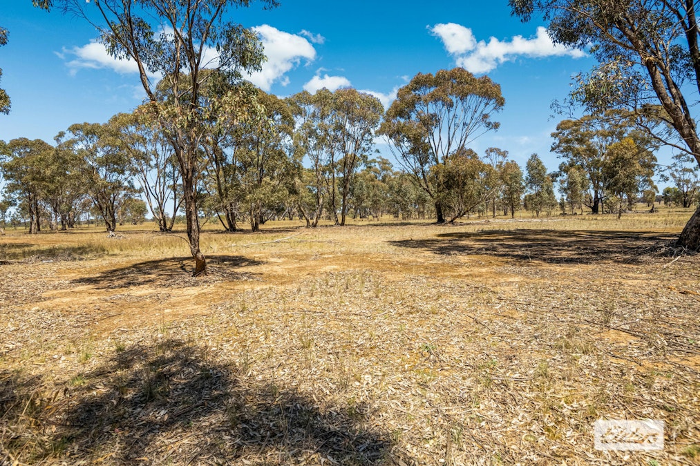 Dunolly-Inglewood Road, Arnold, VIC, 3551 - Image 7