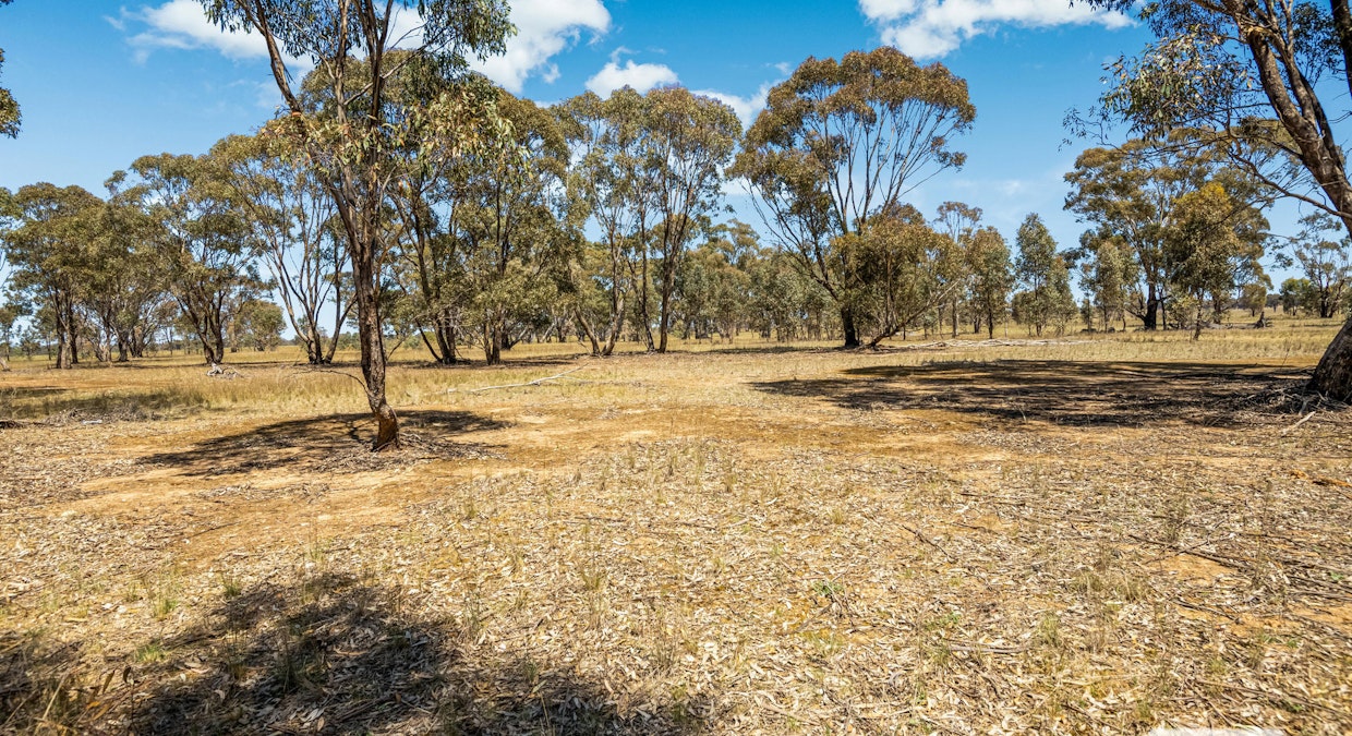 Dunolly-Inglewood Road, Arnold, VIC, 3551 - Image 7